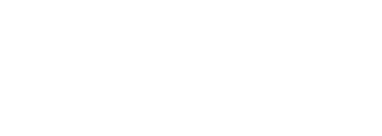Logo Adobe Solution Partner